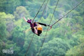 Pongyang Jungle Coaster & Zipline Programme